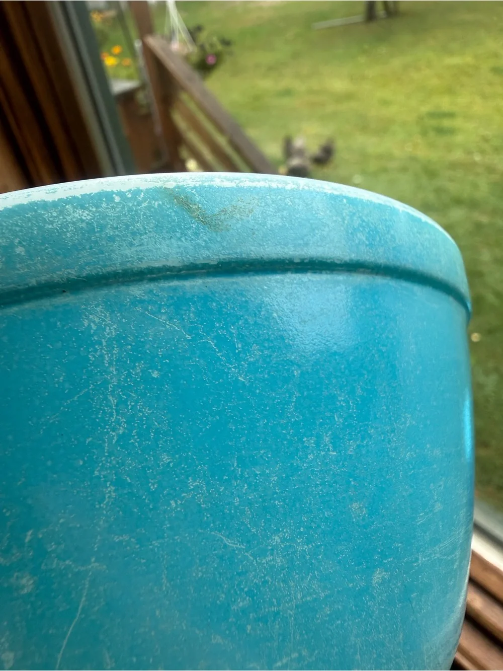 Pyrex bright blue